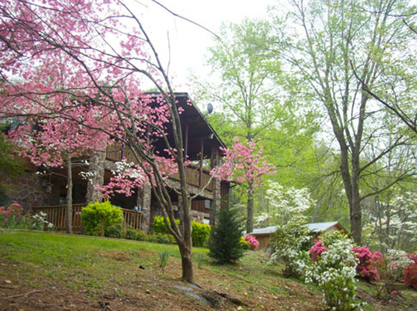 Spacious: private: Near Chattanooga