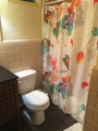 Img 1290