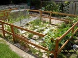 Springgarden2012