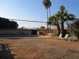 Volleyball2