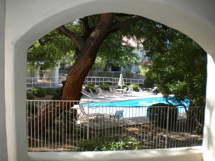 View from our patio