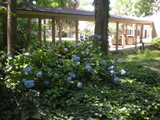 Exterior3