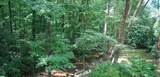 Creekview 1