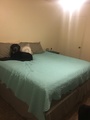 Img 3697