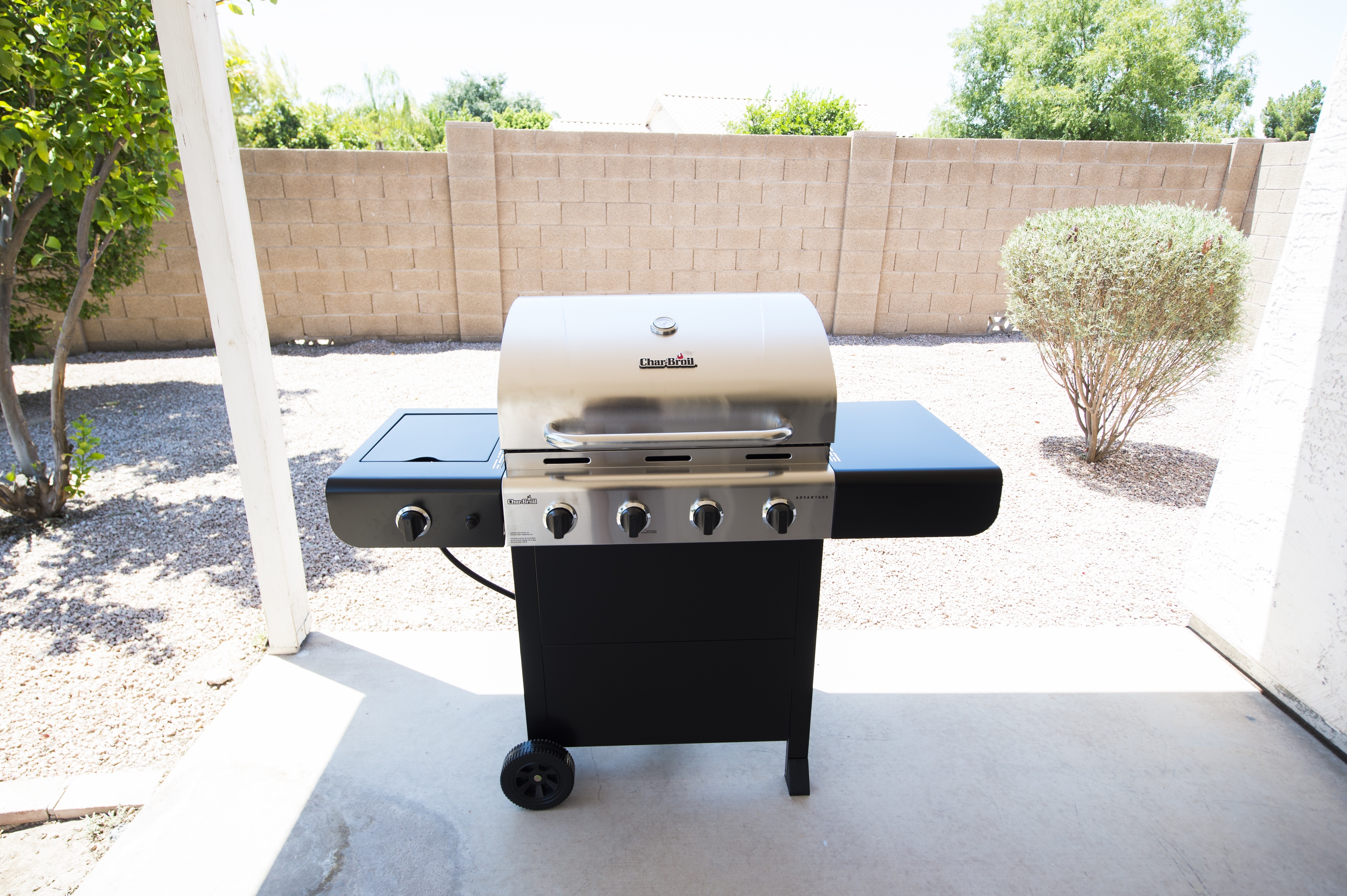 Cmv bbq back yard pic