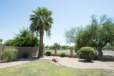 Cmv back yard pic