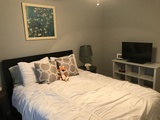 Img 1549