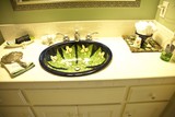 Img 6373