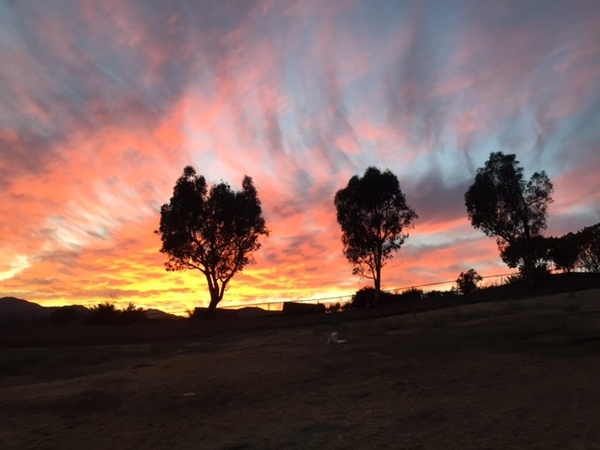 Within the Santa Monica Mountains