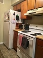Img 1379