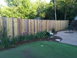Backyardnewfence