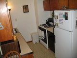 7 img 7195