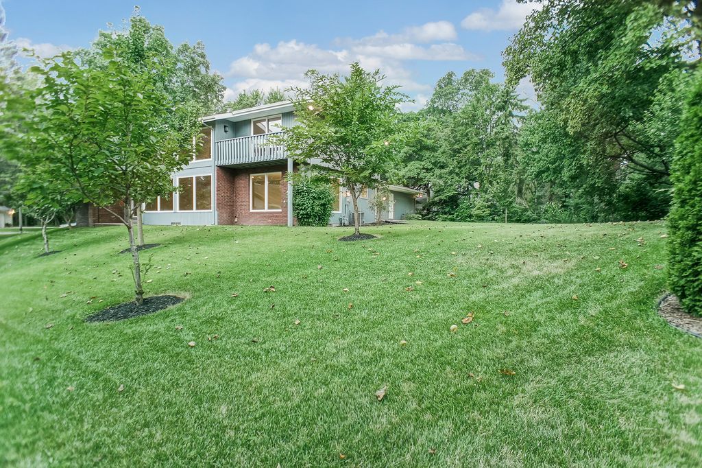 Back yard