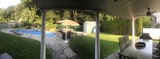 Looking out back door