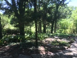 Img 4736