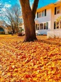 1329 fall