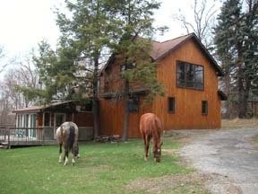 Guest house outside
