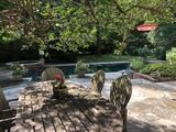 Img 0991