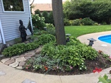 Img 4898