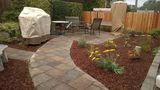 New backyard