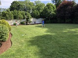Img 4829