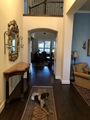 Img 1085