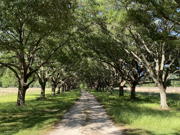 Historical Plantation Getaway