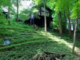 House from bottom 1