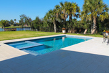 Backyard2