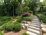 Backyard steps