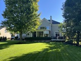 Backyard1