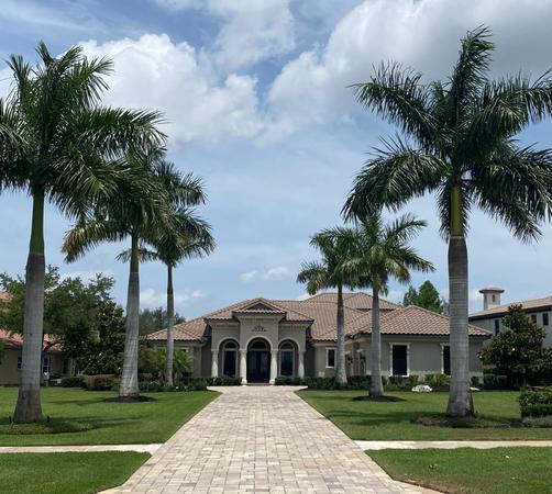 Simply Paradise in The Concession
