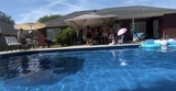 Img 0659