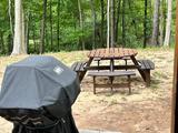 Grille   picnic table