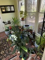 Img 3840 2