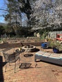 Img 0420