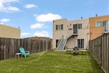 Backyard ii