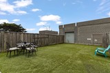 Backyard iii