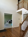 Img 4554