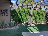 Courtyard garden   turf