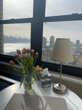 8 miles to MetLife, bright with NYC view