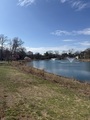 Duck pond circle