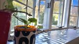 Baldwin decor
