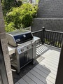 Img 9541